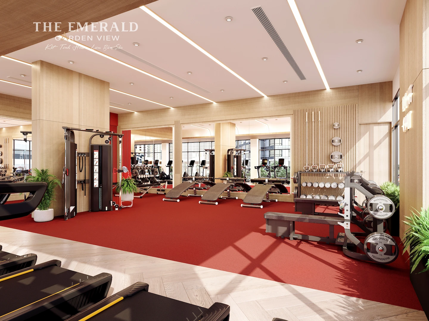 Phòng Gym